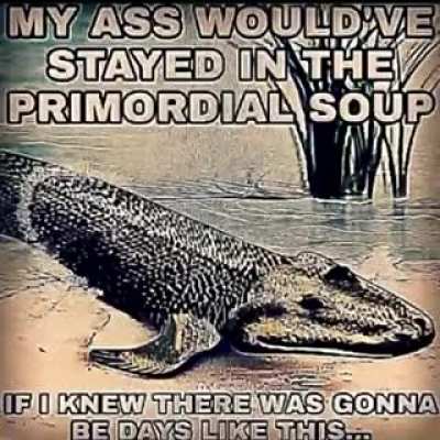 Relevant