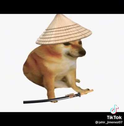 Cheems 