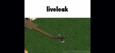 Liveleak Rule
