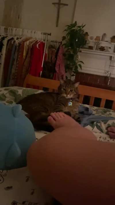 does this count ? 