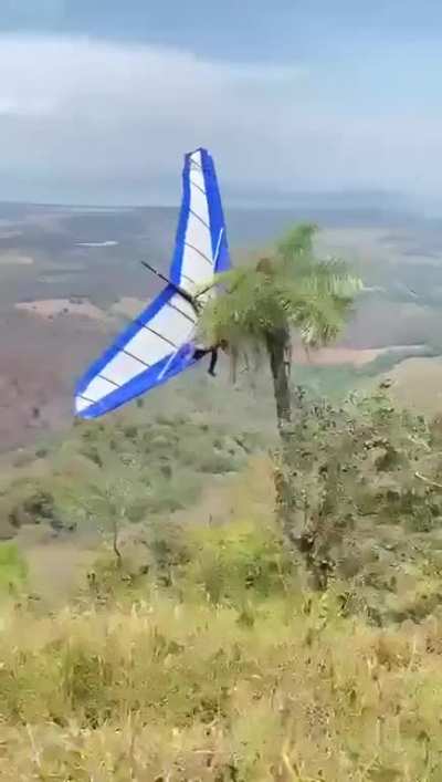 The only tree in the horizon...what could go wrong???
