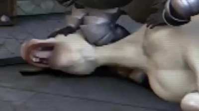 Le hicieron un momos Floyd ._.XD