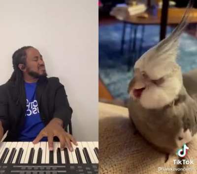 Bird has soul
