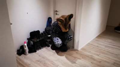 Wholesome furry moments