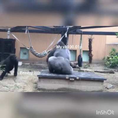 Circle of Death