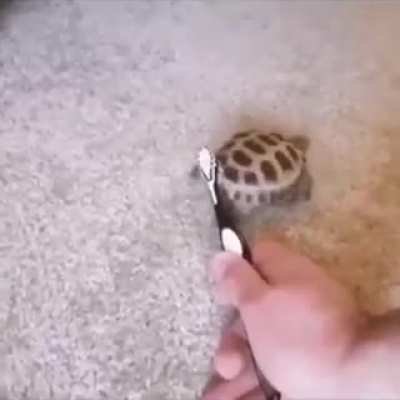 An interesting title