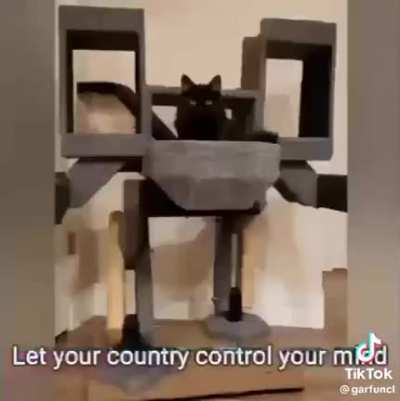 I swear tiktok MGRR memes are on another lvl