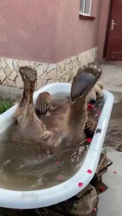 Bath Time