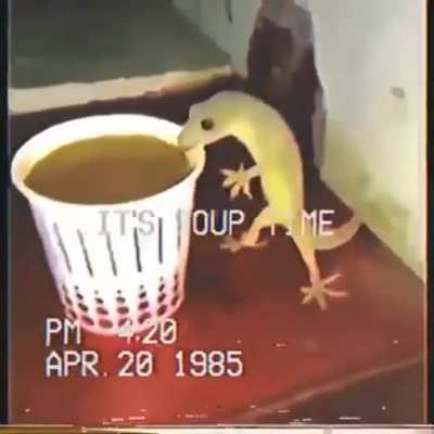 Soup