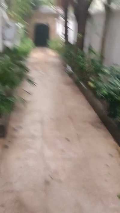 Heavy rain in Cairo, Egypt. Day one of a predicted three day storm.( We never get rain here so I'm really excited!)