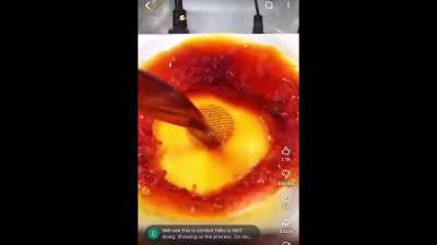 Okay, “perfumer” Chris da CEO POV video working with vanilla absolute.