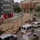 Did NOT expect that...