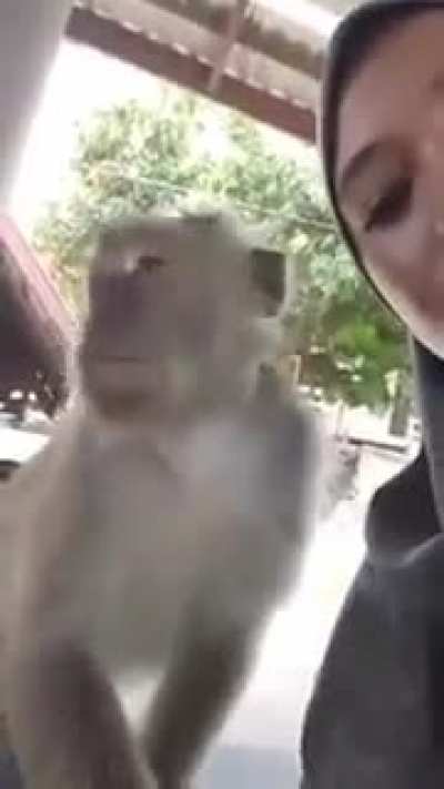 Monke