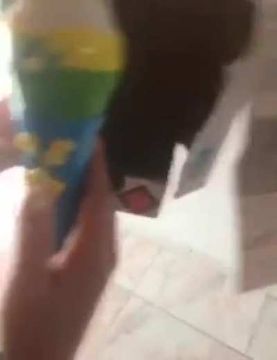 Chúpame la corneta