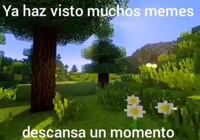 Soy nuevo