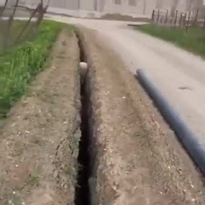 to rescue a sheep.