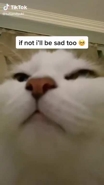 please don’t be sad 💜