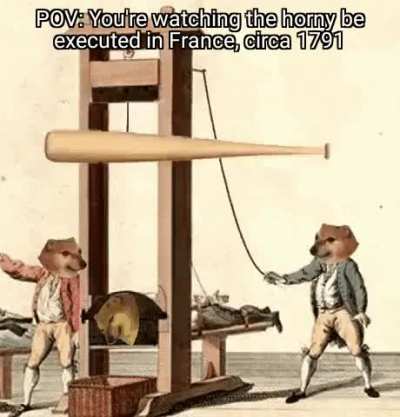 VIVA LA REVOLUTION