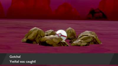 Found a really rare pokémon after an insane amount of tries...