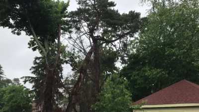 Recent rainstorm in my hometown
