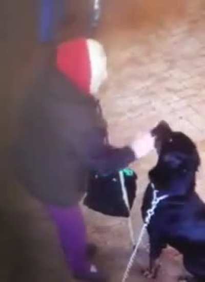 Horrible dog attack on grandmother