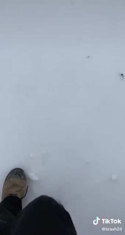 Snow in Louisiana