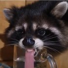 hydration is KEY