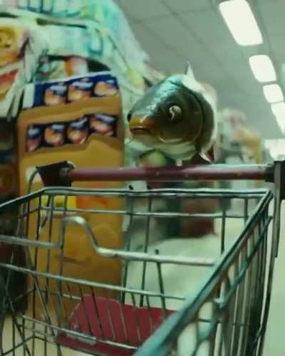 Dream fish
