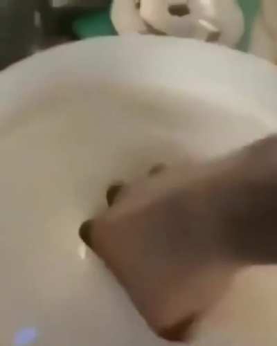 Cum 🥵🤤