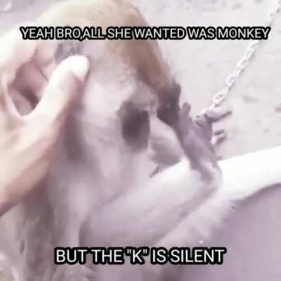 sad monke