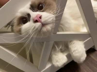 He’s a weirdo
