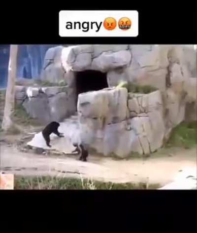 😎