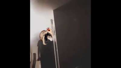 POV: it wasnt his passive.