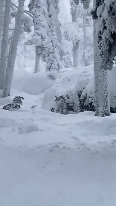 Cold temps and big dumps call for cliff drops