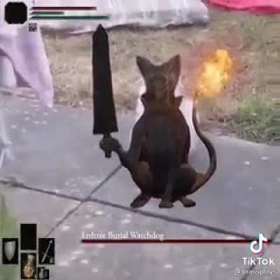 Best one yet