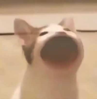 Omg