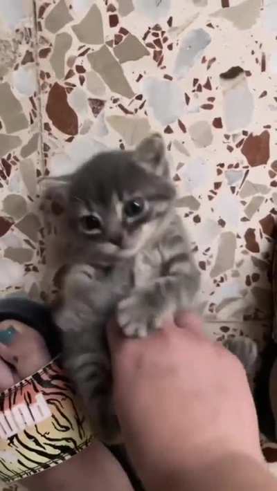 how can i go to work