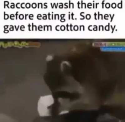 Found on r/discordvideos