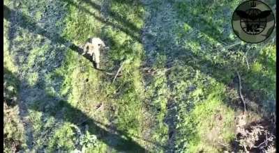 A Wagner Group soldier discovers that all of his comrades were killed. according to the drone video, has made the right decision by surrendering to the Ukrainian Army.
