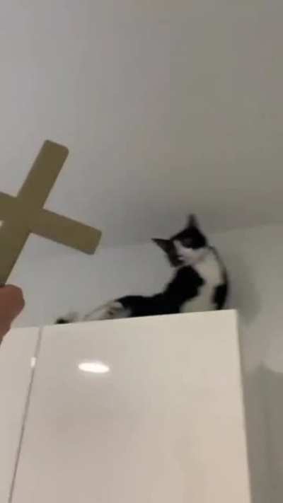 Экзор<wbr>цизм