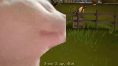 me playing with sound on: