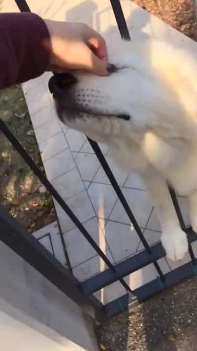 I met the kindest cloud today