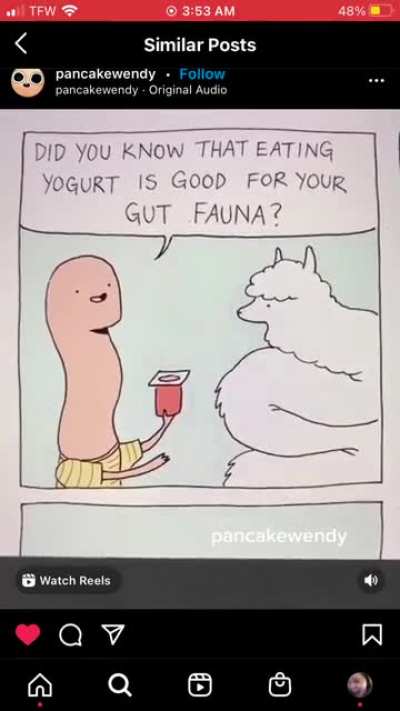Did you know that eating yogurt is good for your gut fauna? (By @pancakewendy on ig)