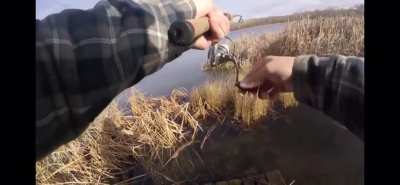My buddy catches a fish and it gets stuck in the weeds. Accidentally launches it at himself trying to free it.