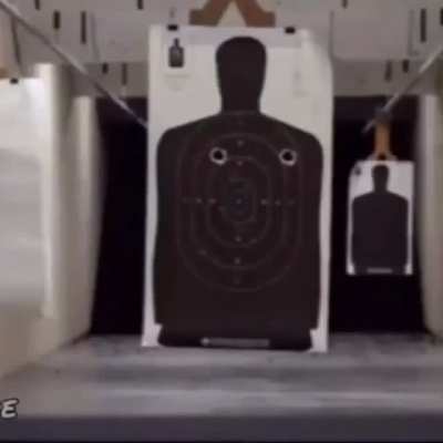 Gun
