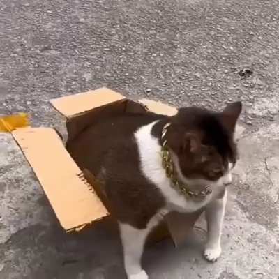 Maybe Maybe Maybe