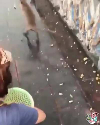 How can I hold these nuts?