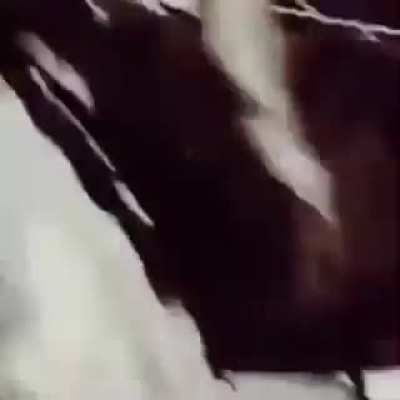 ABRAMSWAVE