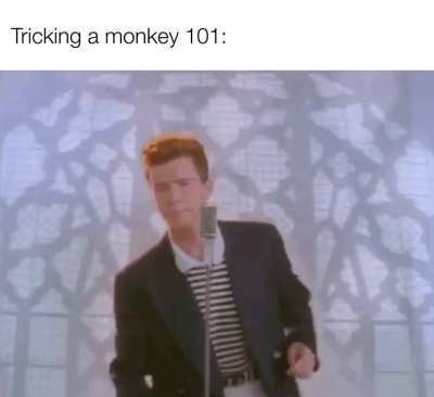 Wait for it....