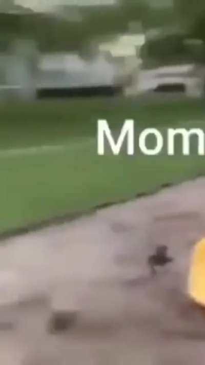 mommy